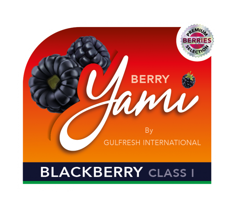 LogoBLACKBERRY