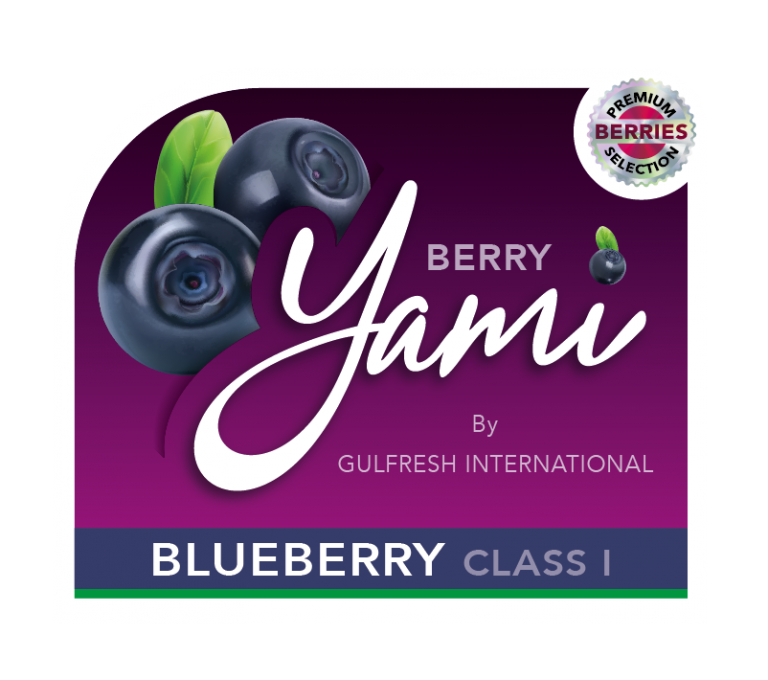 LogoBLUEBERRY