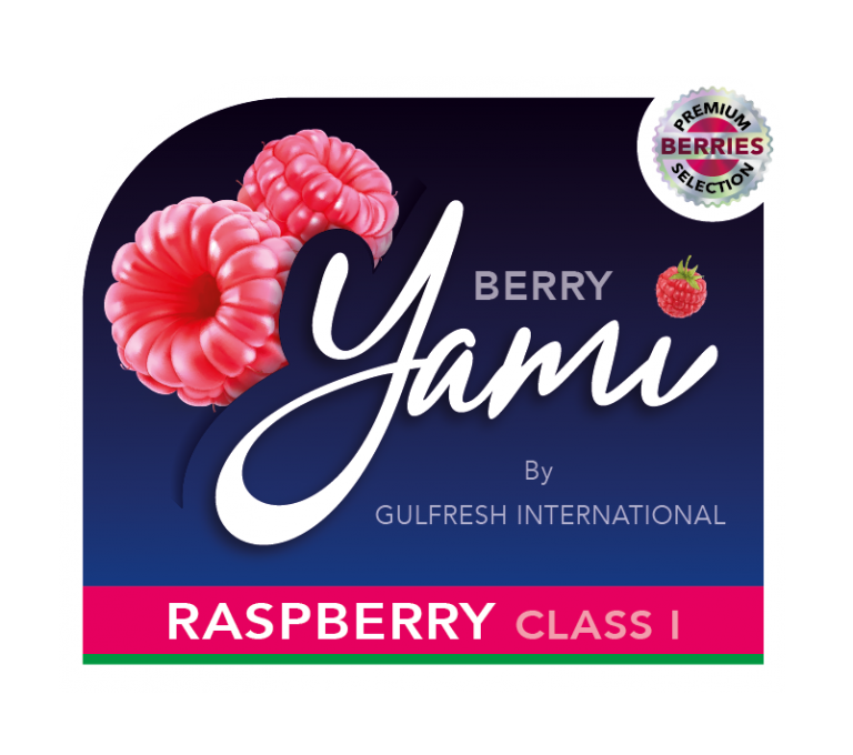 LogoRASPBERRY