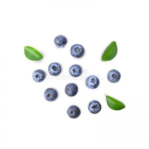 IQF Blueberry
